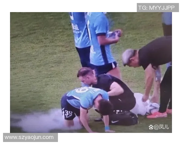 球星在足球场上不幸受伤瞬间被捕捉 赛场上痛苦倒地引发关注